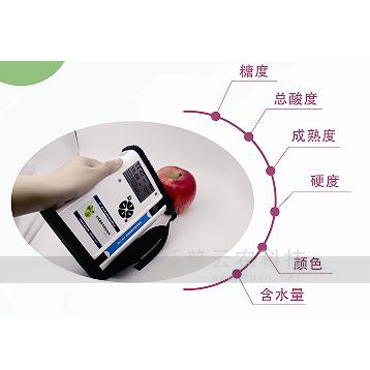 水果品質(zhì)無損檢測(cè)儀